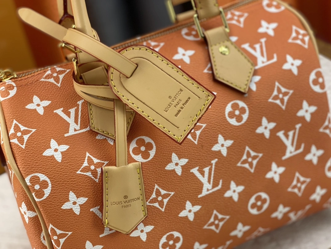 NewStyle 1740 Louis Vuitton AAA Quality Handbags For Women