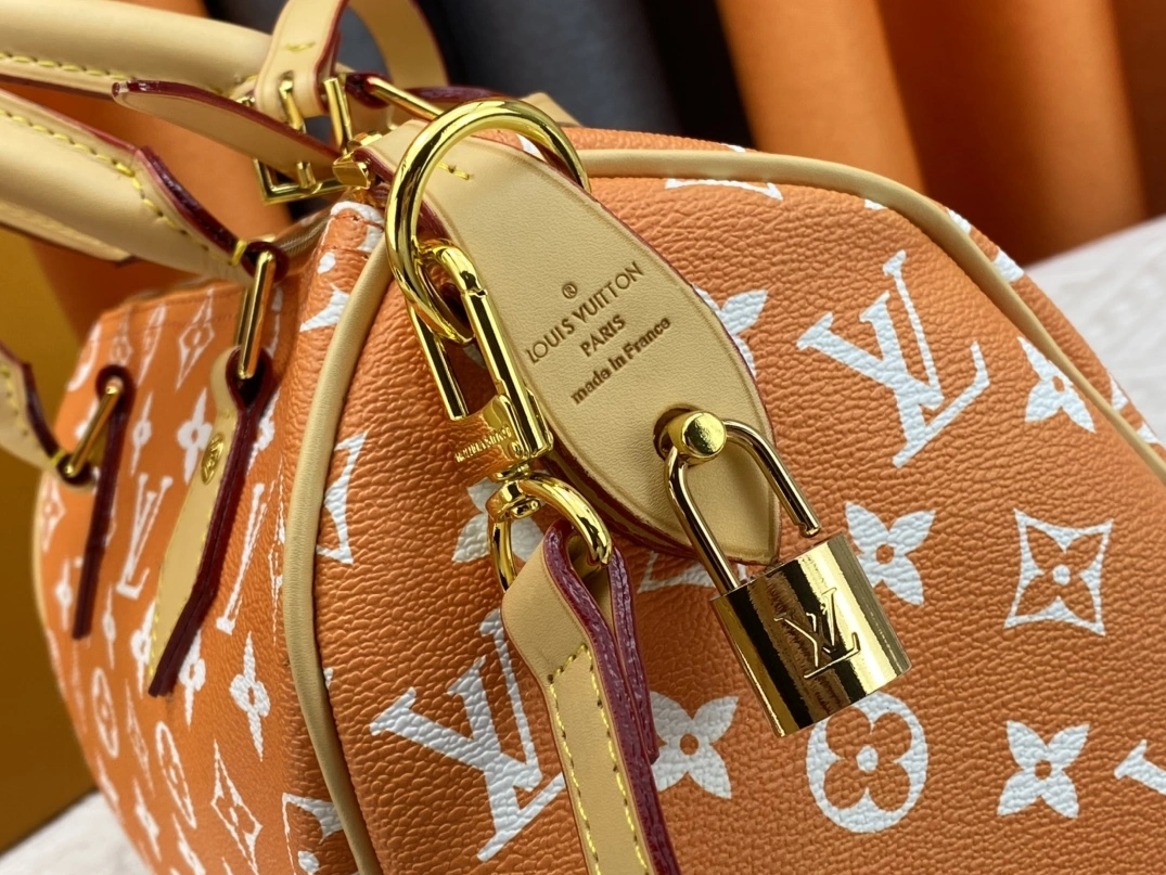 NewStyle 1740 Louis Vuitton AAA Quality Handbags For Women