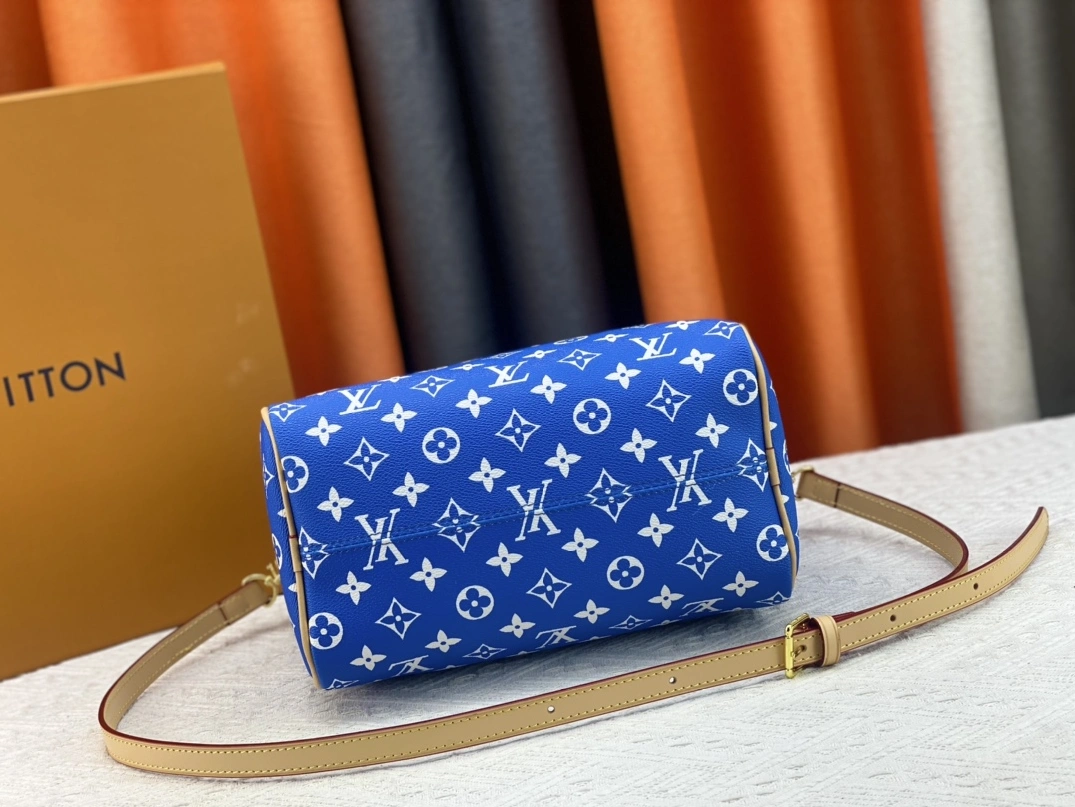 NewStyle 2098 Louis Vuitton AAA Quality Handbags For Women