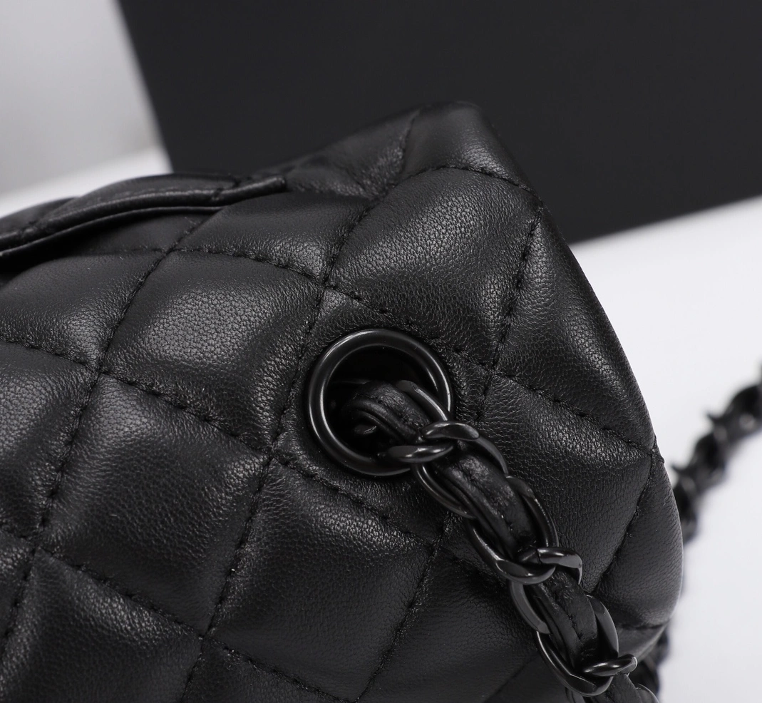 NewStyle 2759 Chanel AAA Quality Messenger Bags For Women