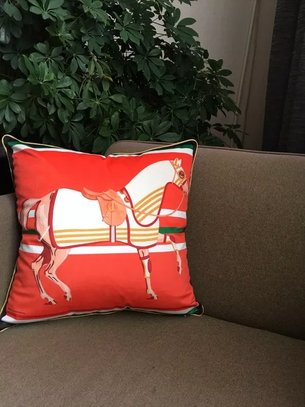 NewStyle 3044 Hermes Cushion
