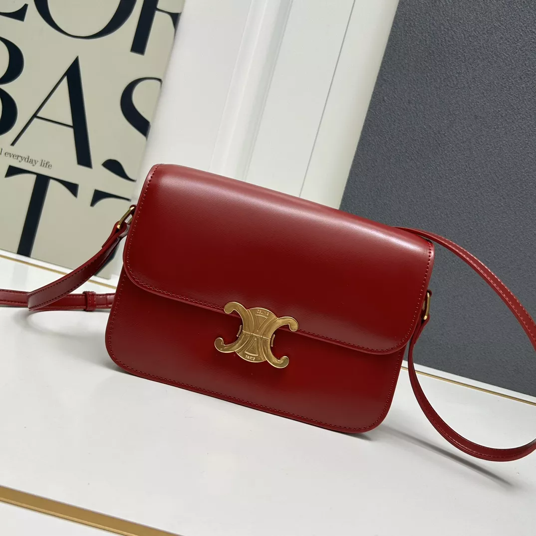 NewStyle 4038 Celine AAA Quality Messenger Bags For Women