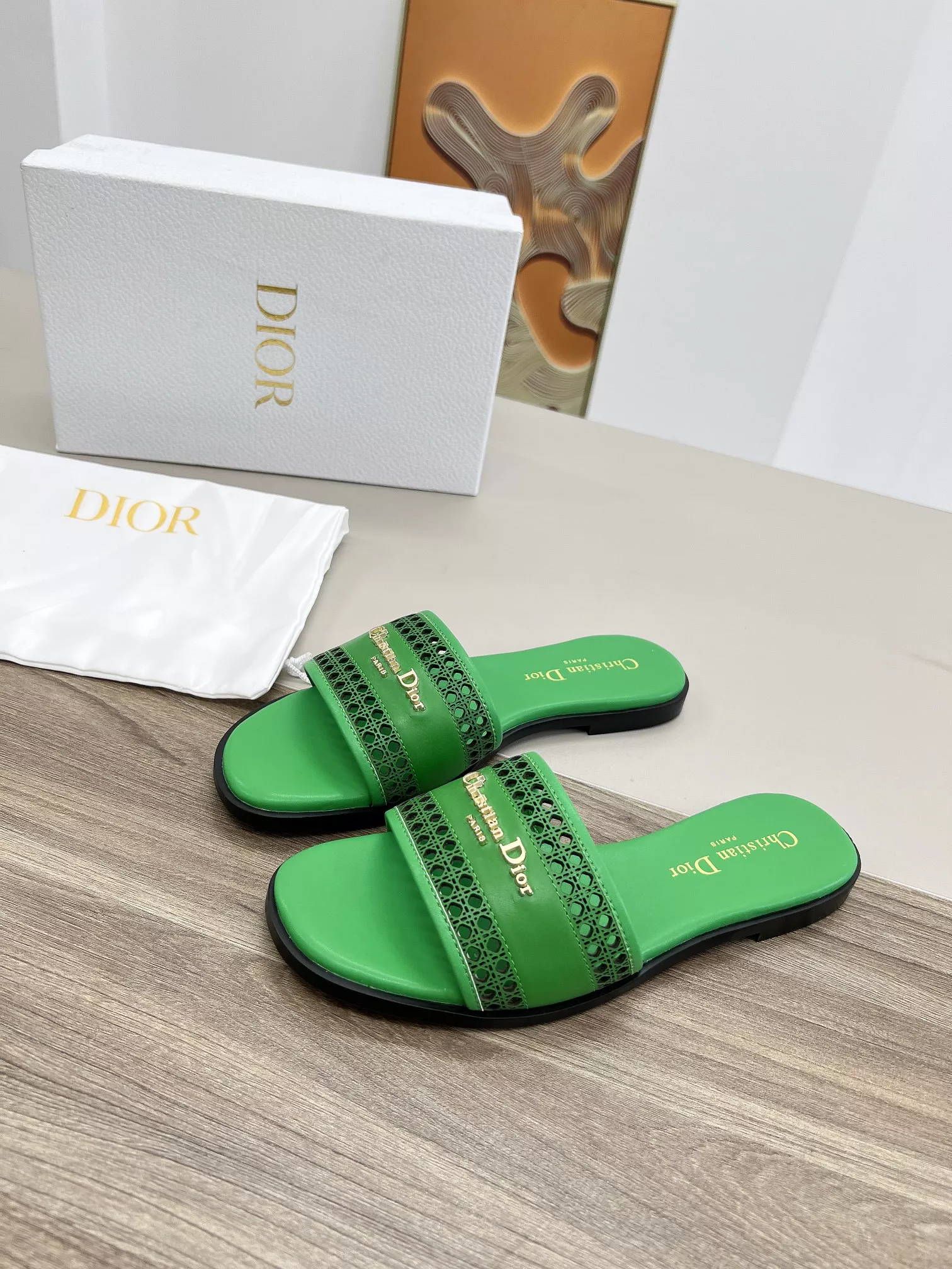NewStyle 5843 Christian Dior Slippers For Women