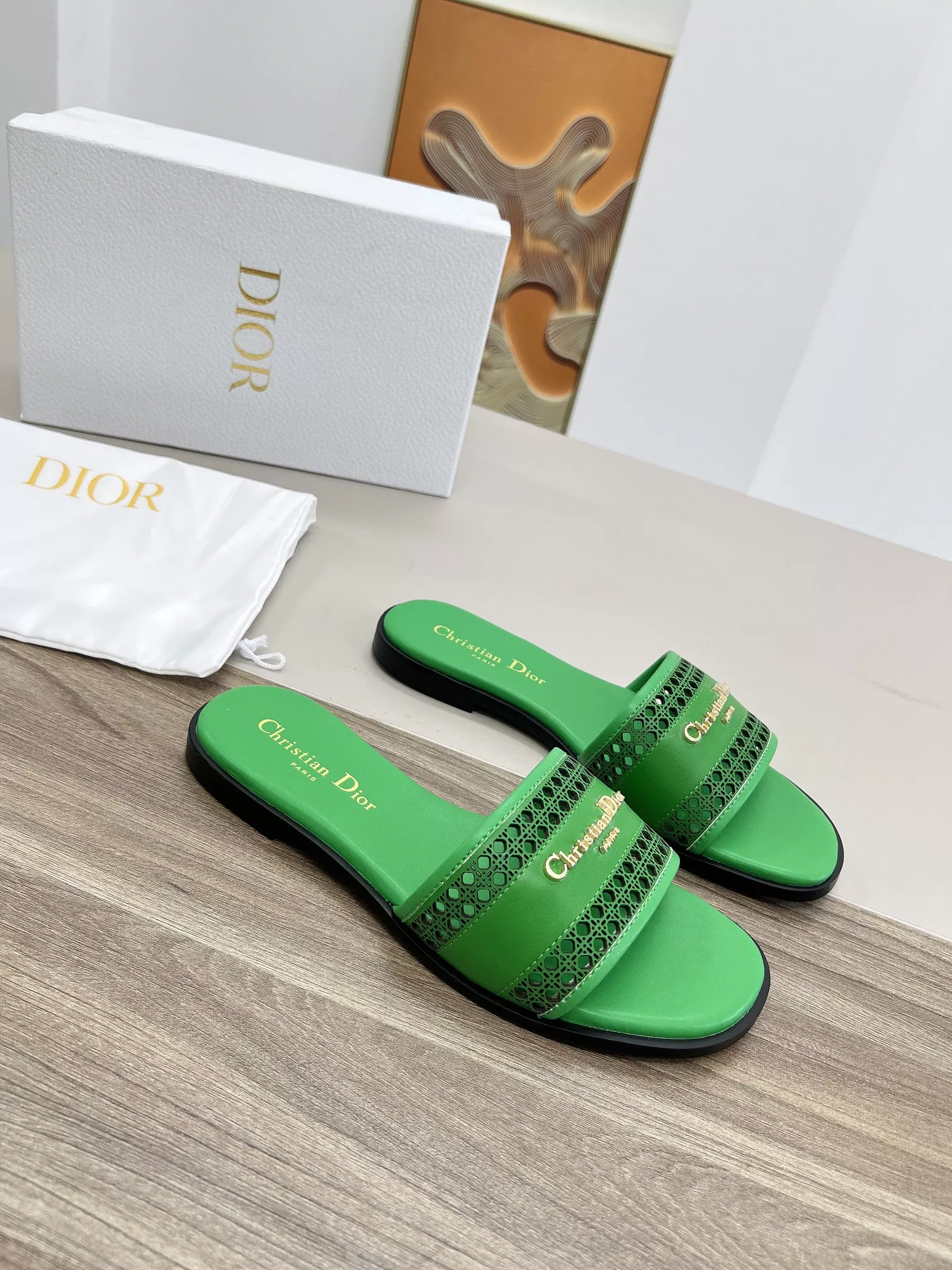 NewStyle 5843 Christian Dior Slippers For Women