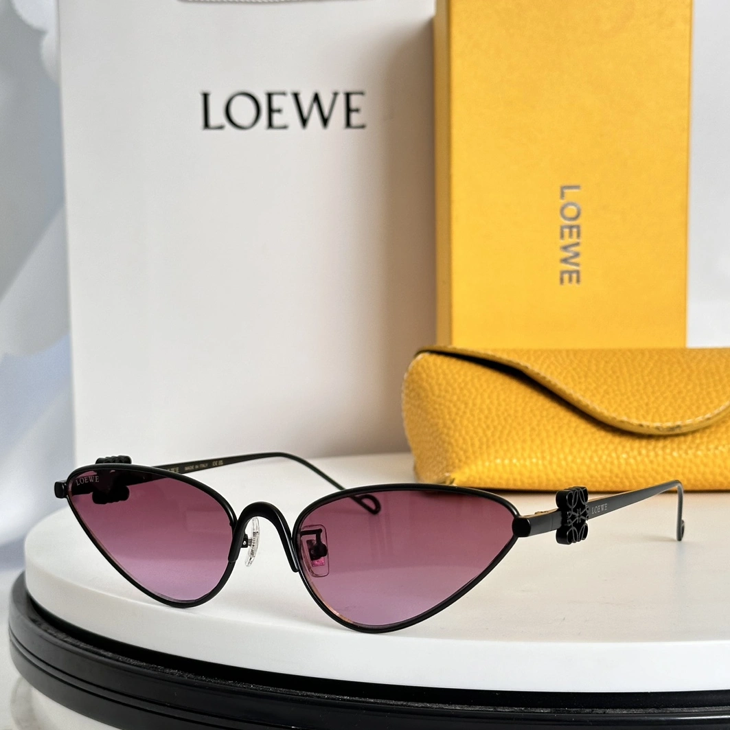 NewStyle 8265 LOEWE AAA Quality Sunglasses