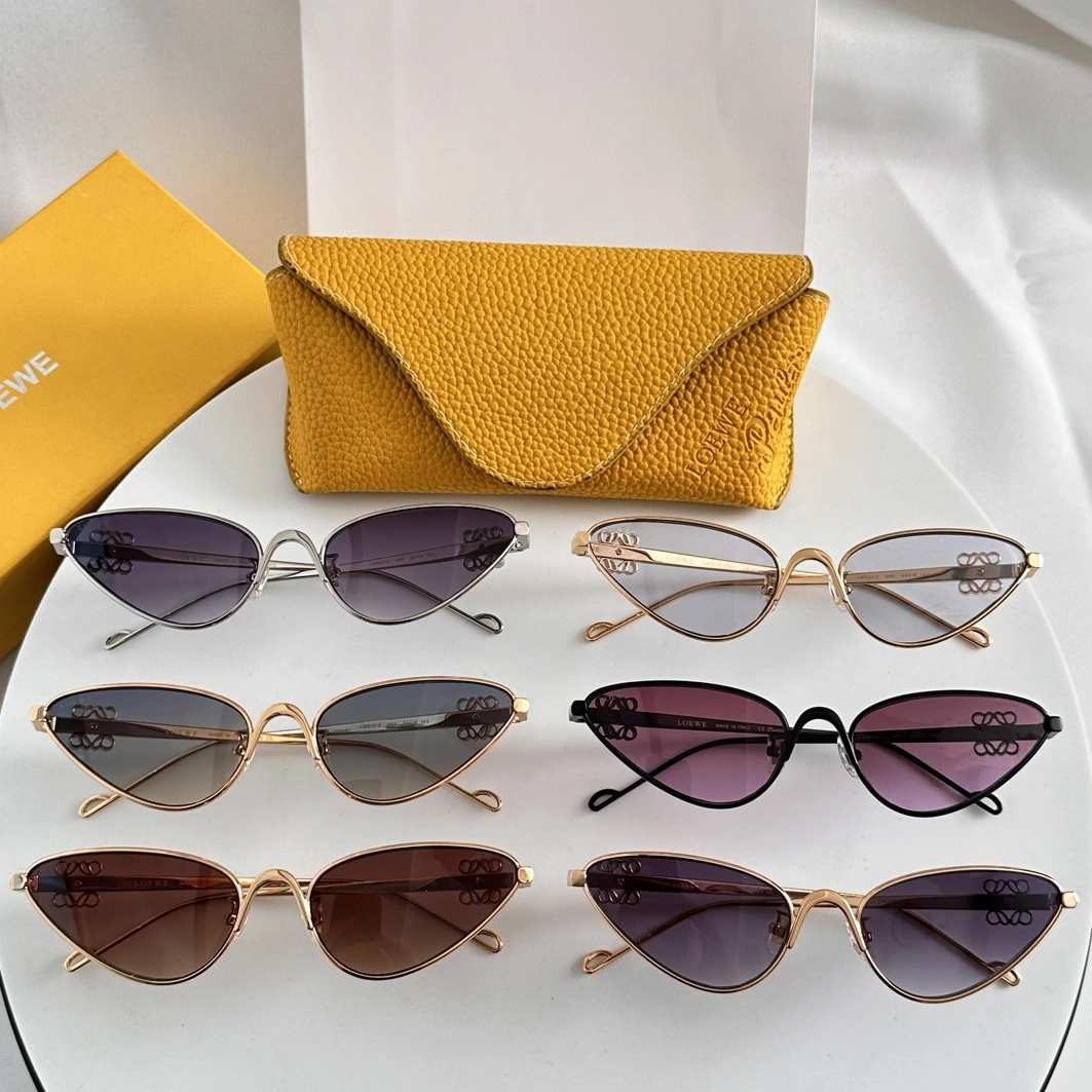NewStyle 8265 LOEWE AAA Quality Sunglasses