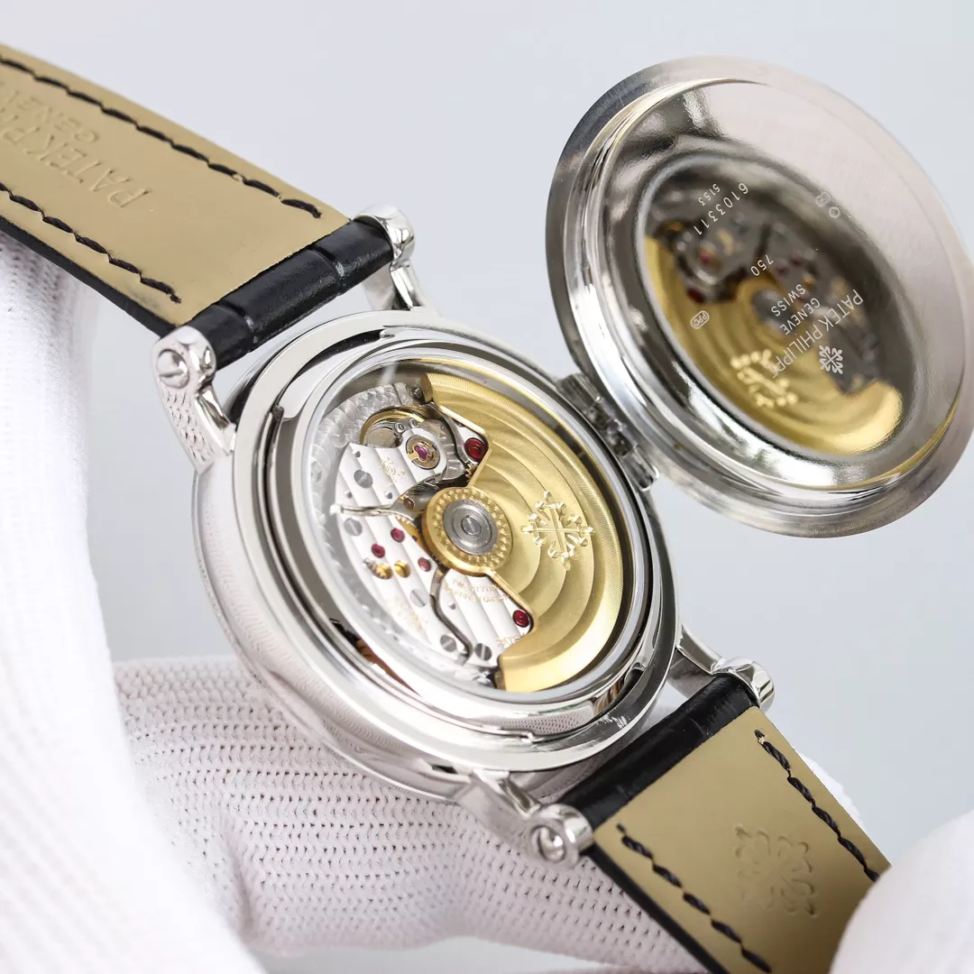 Patek Philippe AAA Quality Watches DailyWear 3029