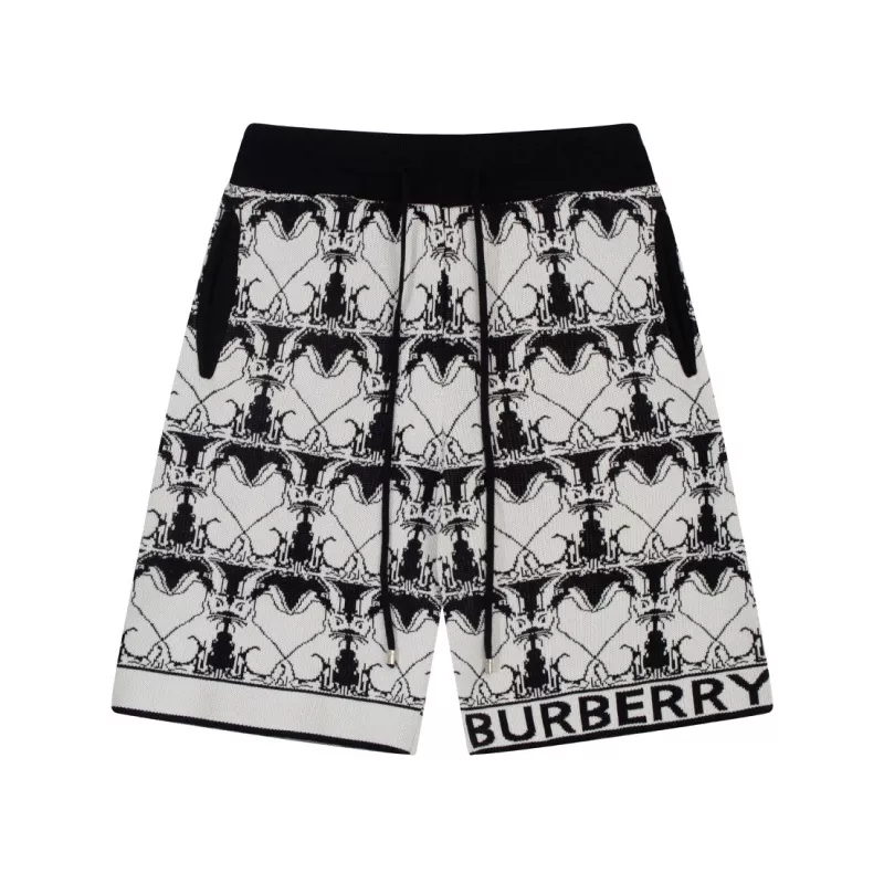 Popular 2572 Burberry Pants For Unisex