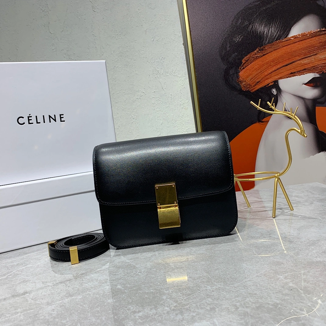 Popular 2619 Celine AAA Quality Messenger Bags For Women