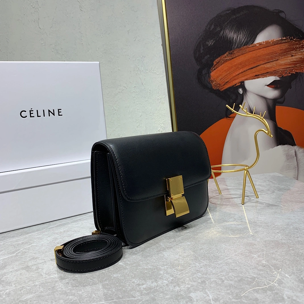Popular 2619 Celine AAA Quality Messenger Bags For Women