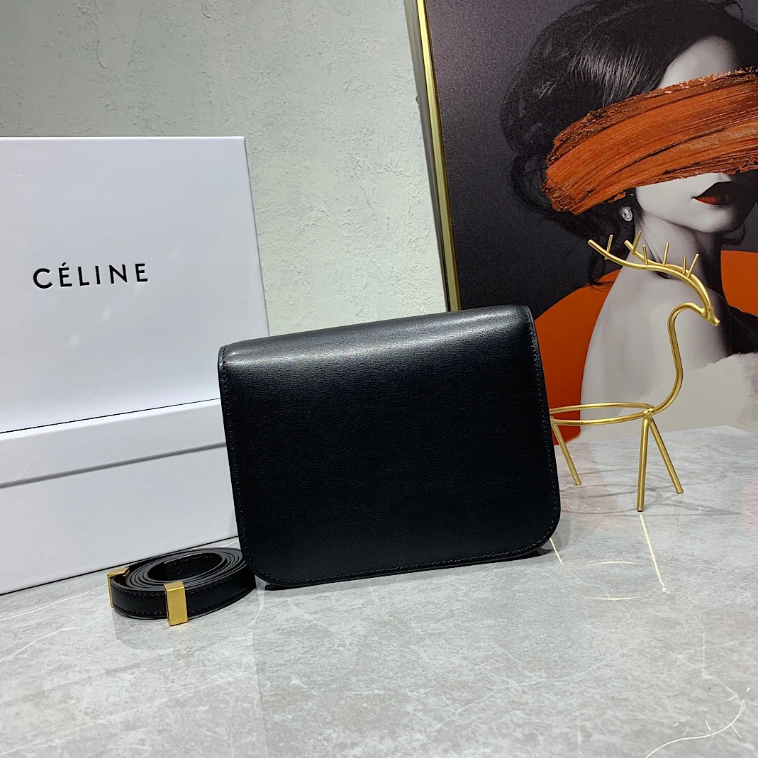 Popular 2619 Celine AAA Quality Messenger Bags For Women