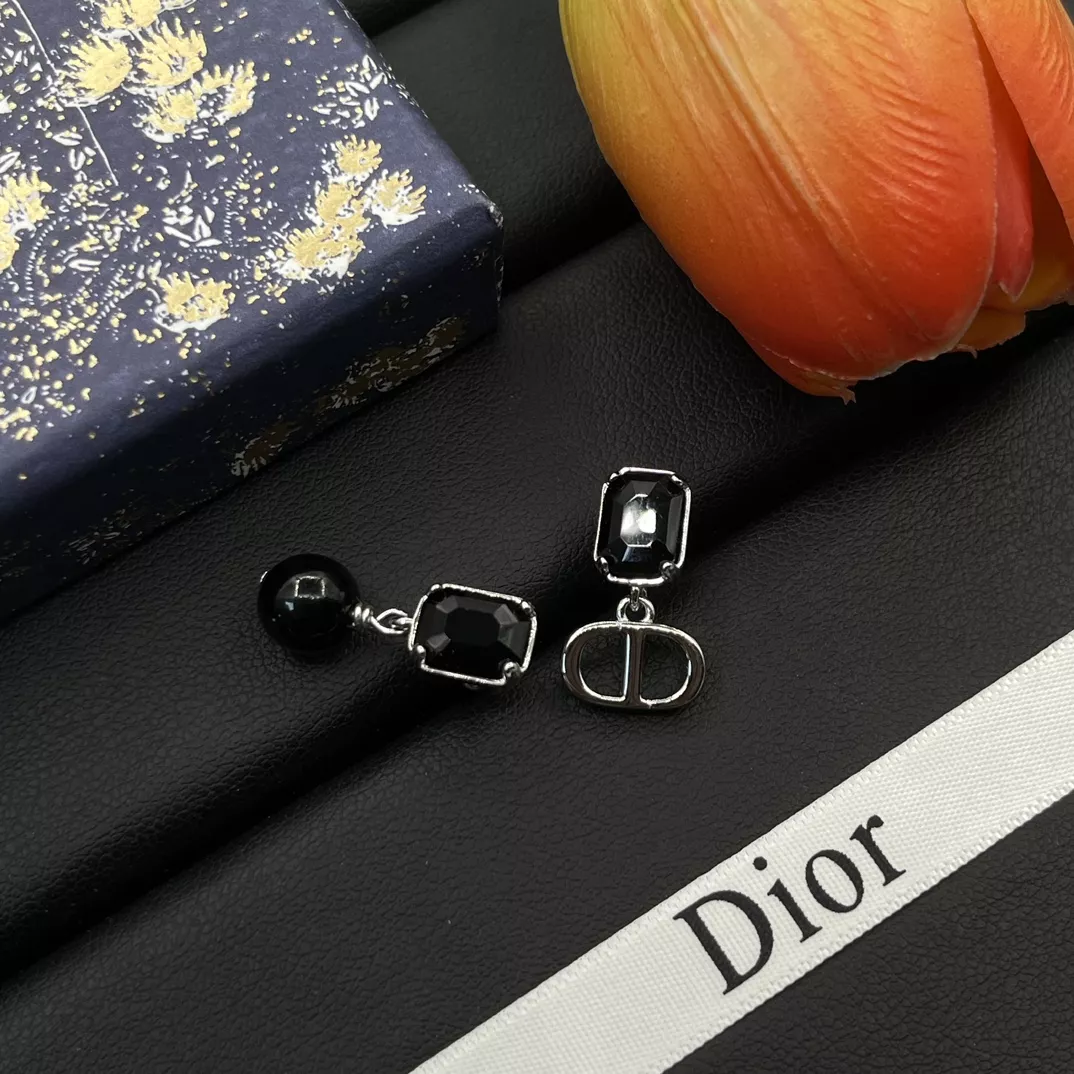 Popular 3871 Christian Dior Earrings For Women