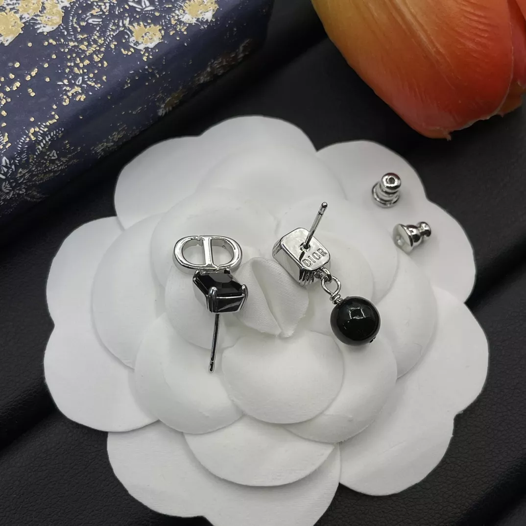 Popular 3871 Christian Dior Earrings For Women