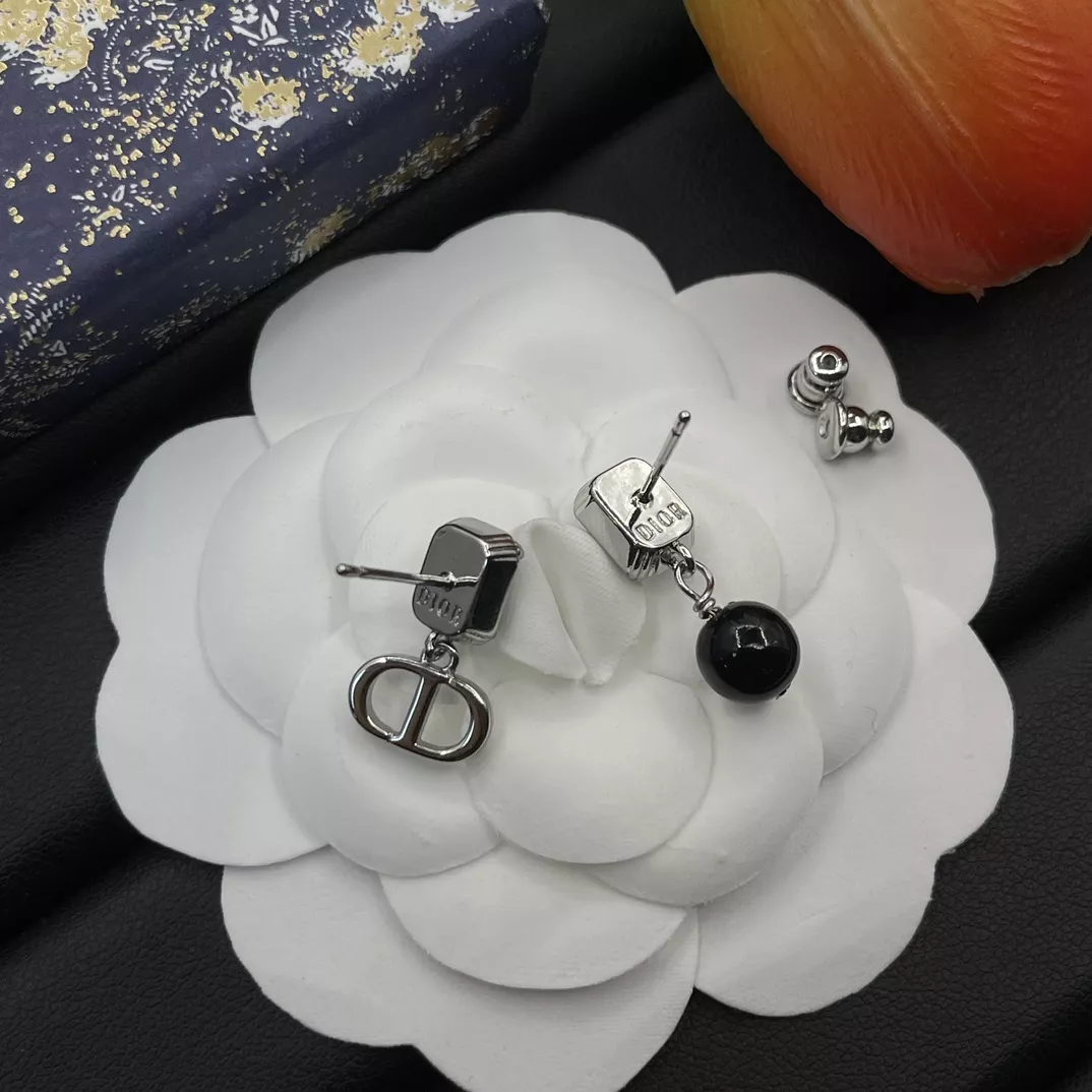 Popular 3871 Christian Dior Earrings For Women