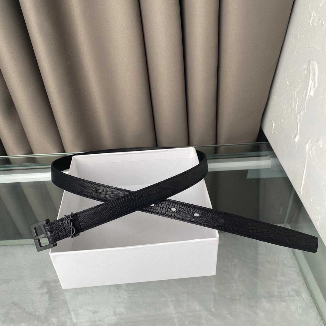 Popular 435 Yves Saint Laurent AAA Belts For Women