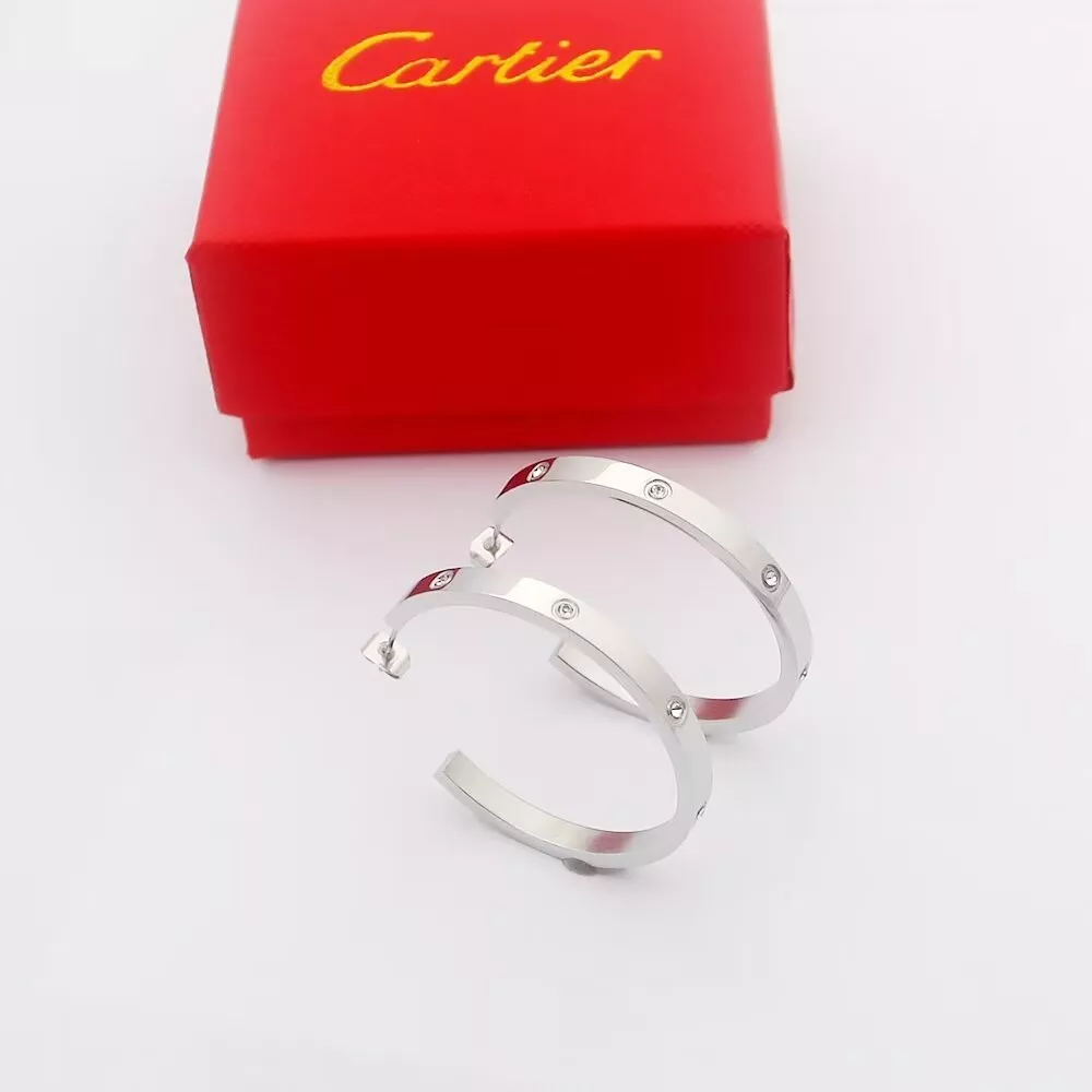 Popular 4466 Cartier Earrings For Women