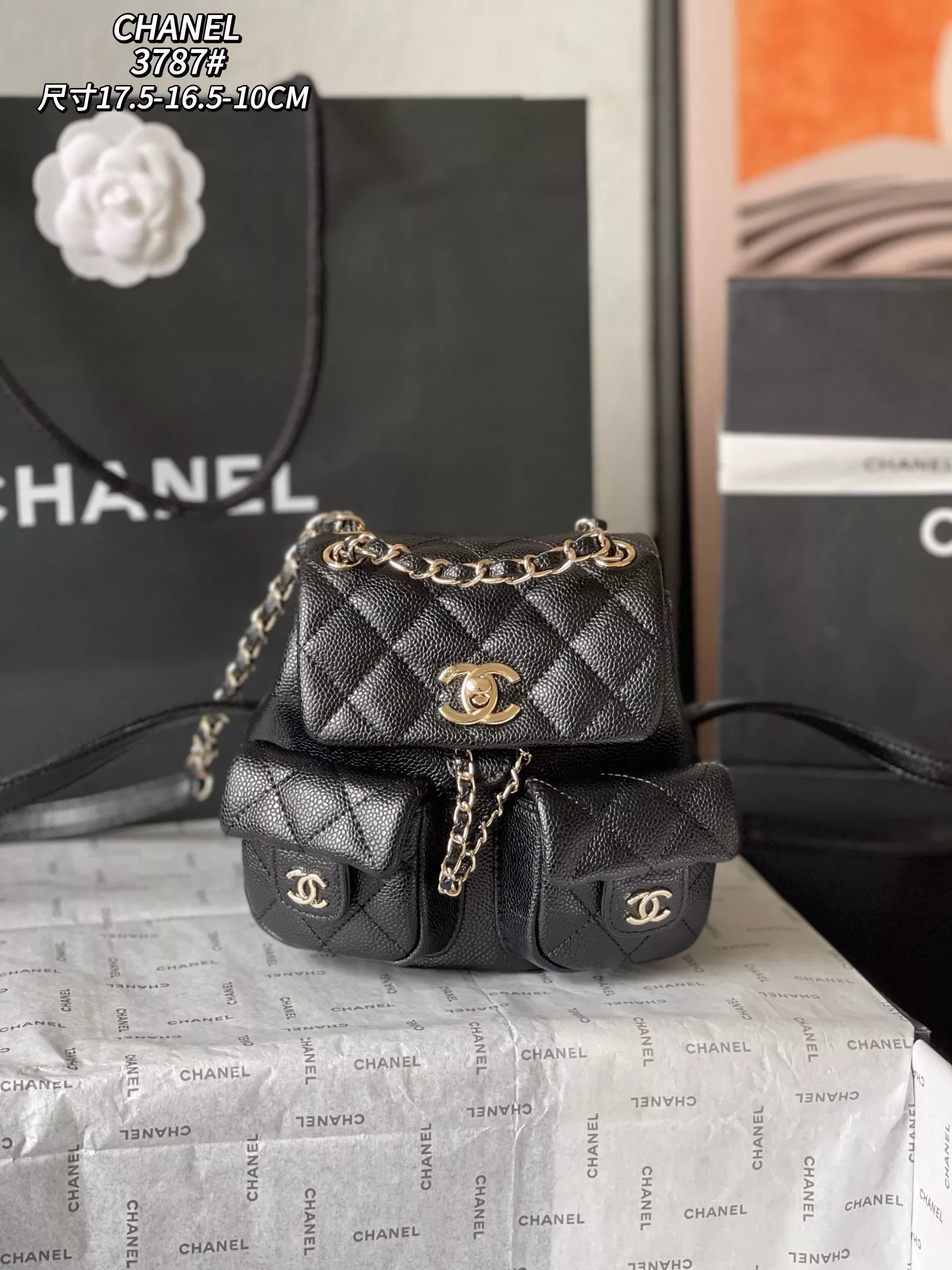 Popular 7631 Chanel AAA Quality Backpacks For Women