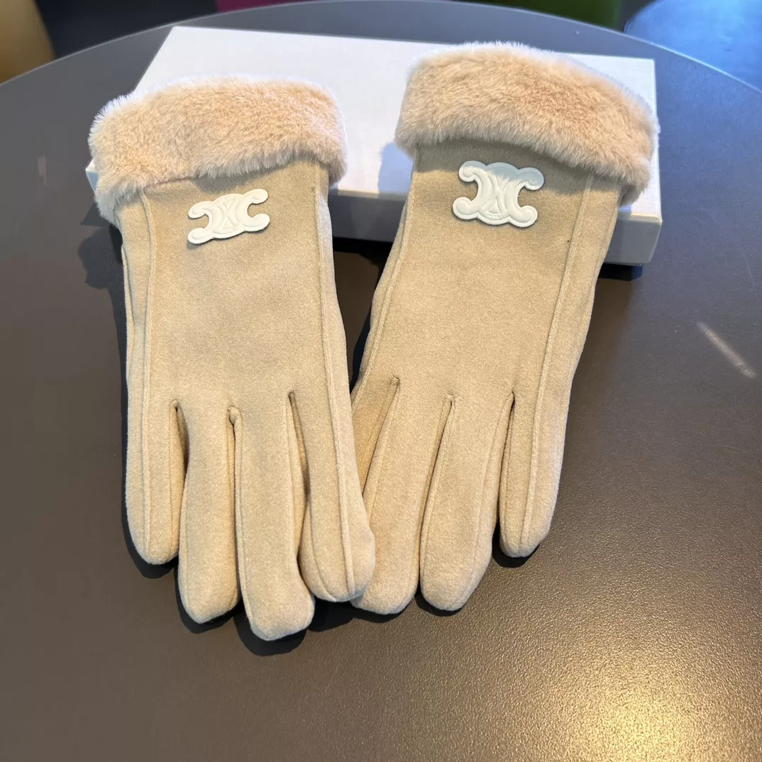 Popular 8411 Celine Gloves
