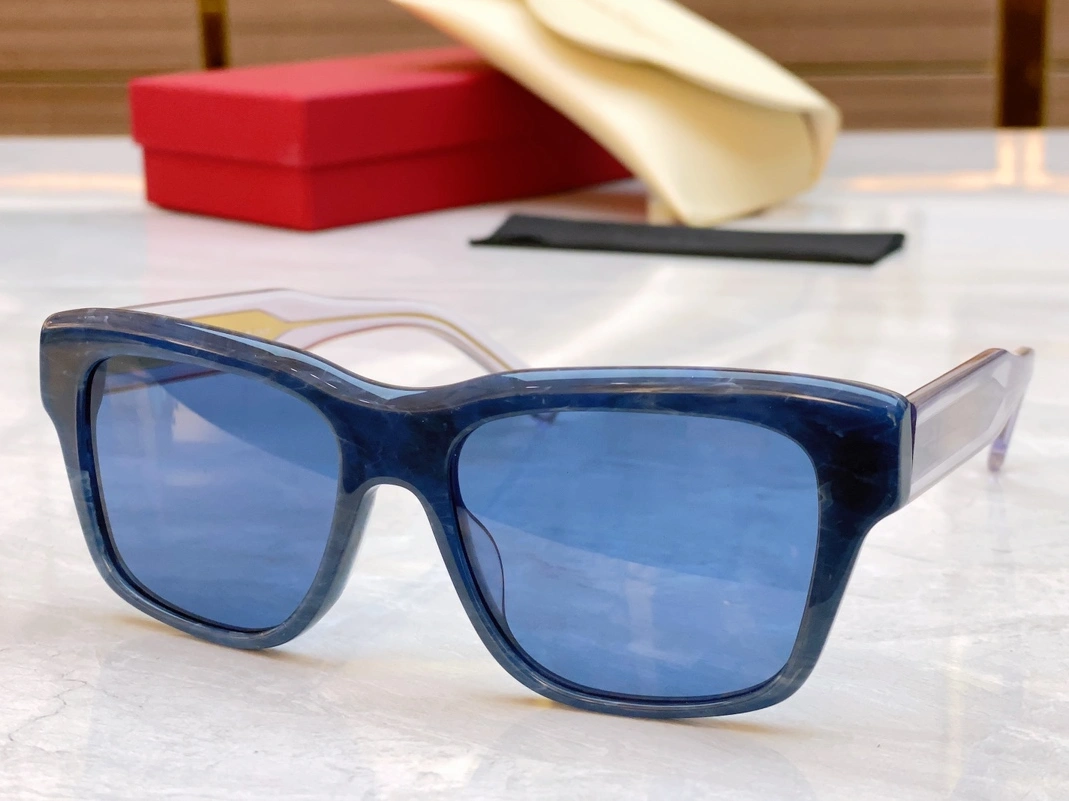 Popular 8601 Salvatore Ferragamo AAA Quality Sunglasses