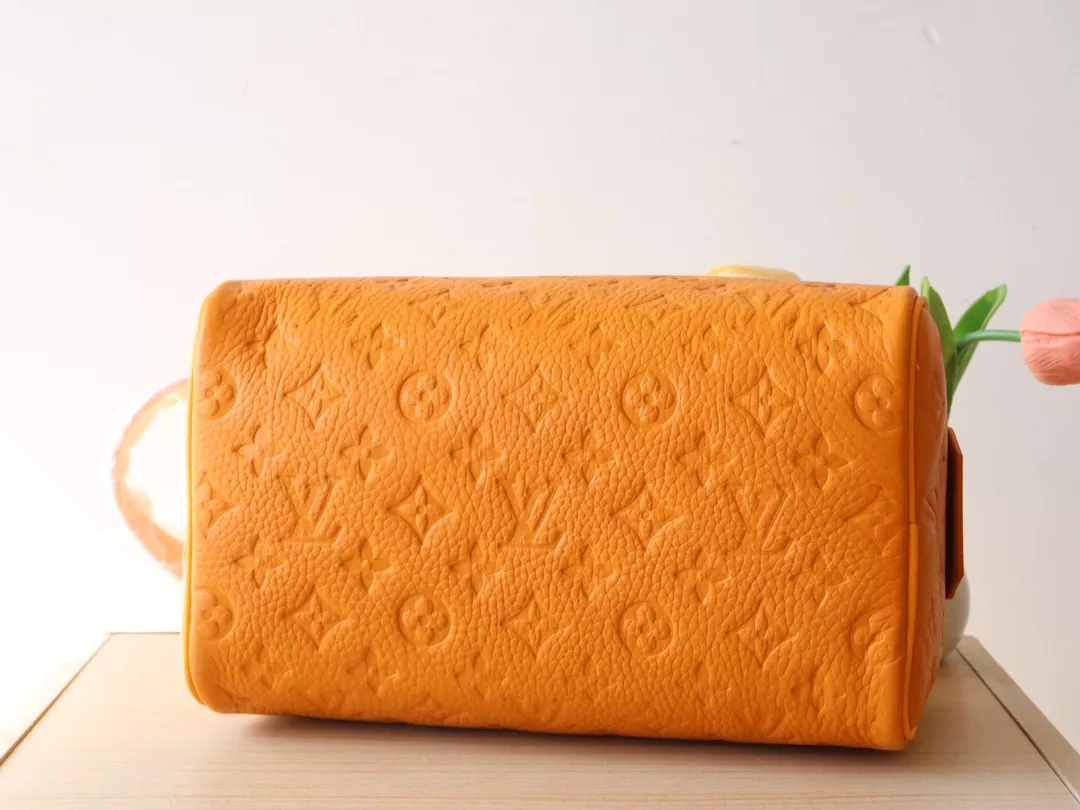 Practical 1228 Louis Vuitton AAA Quality Handbags