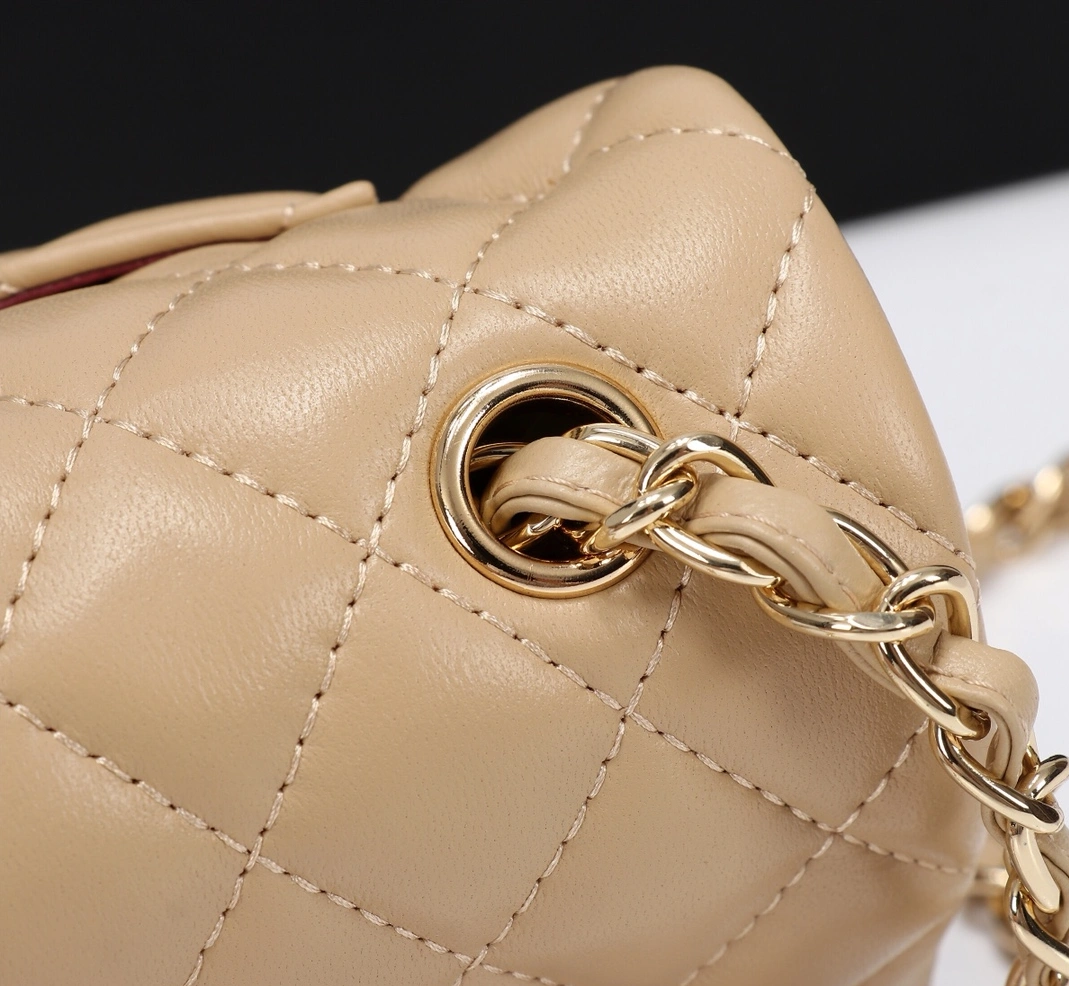 Practical 1529 Chanel AAA Quality Messenger Bags For Women