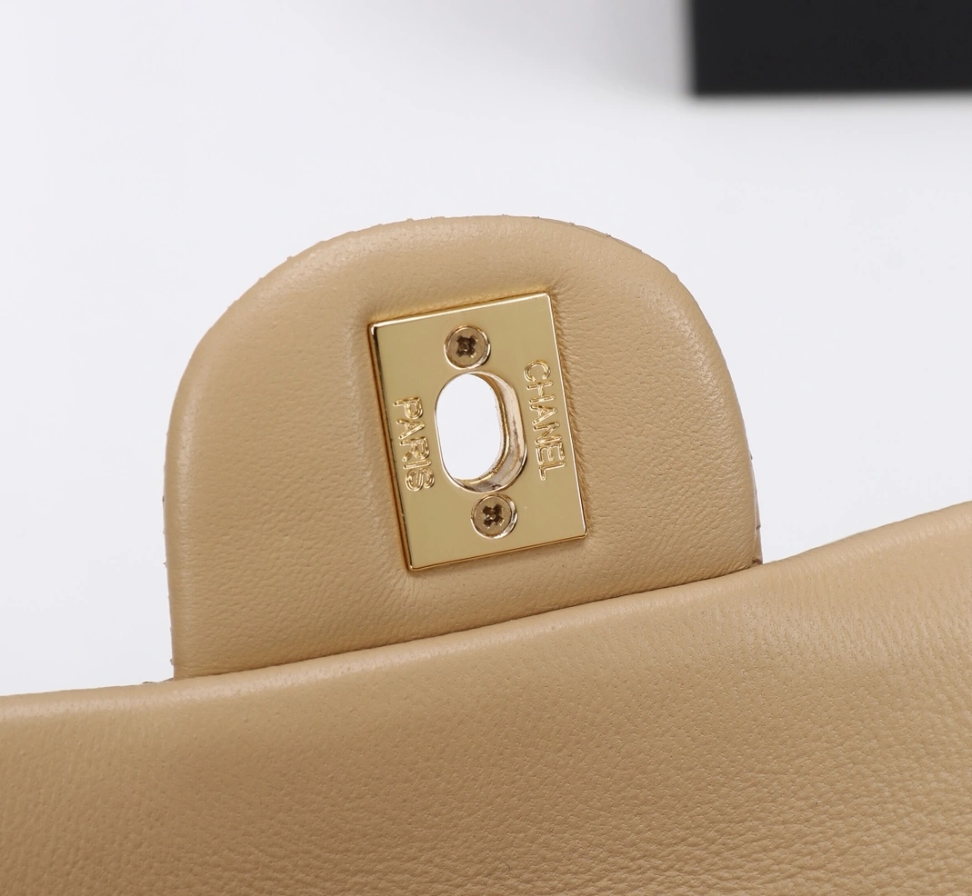 Practical 1529 Chanel AAA Quality Messenger Bags For Women
