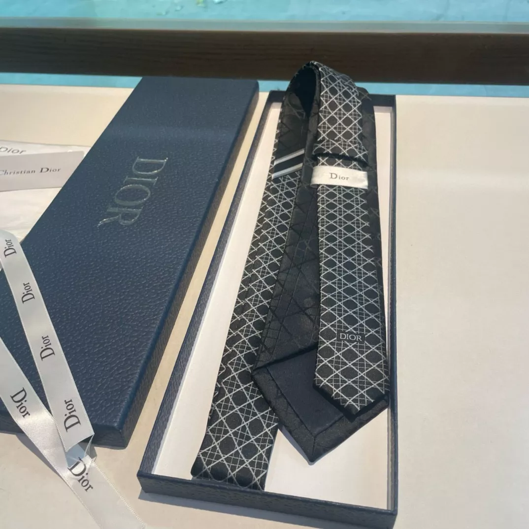 Practical 1987 Christian Dior Necktie