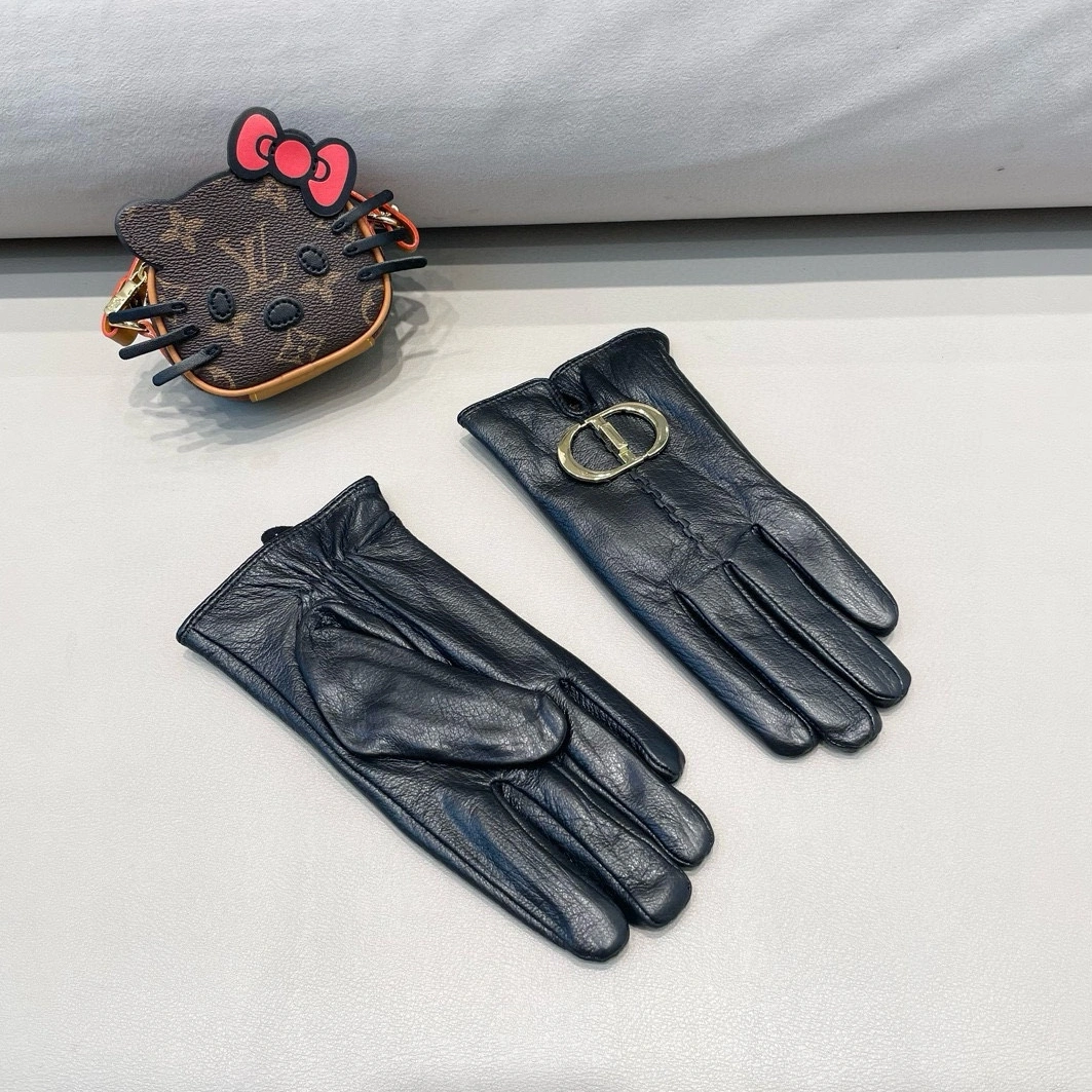 Practical 3345 Christian Dior Gloves For Women