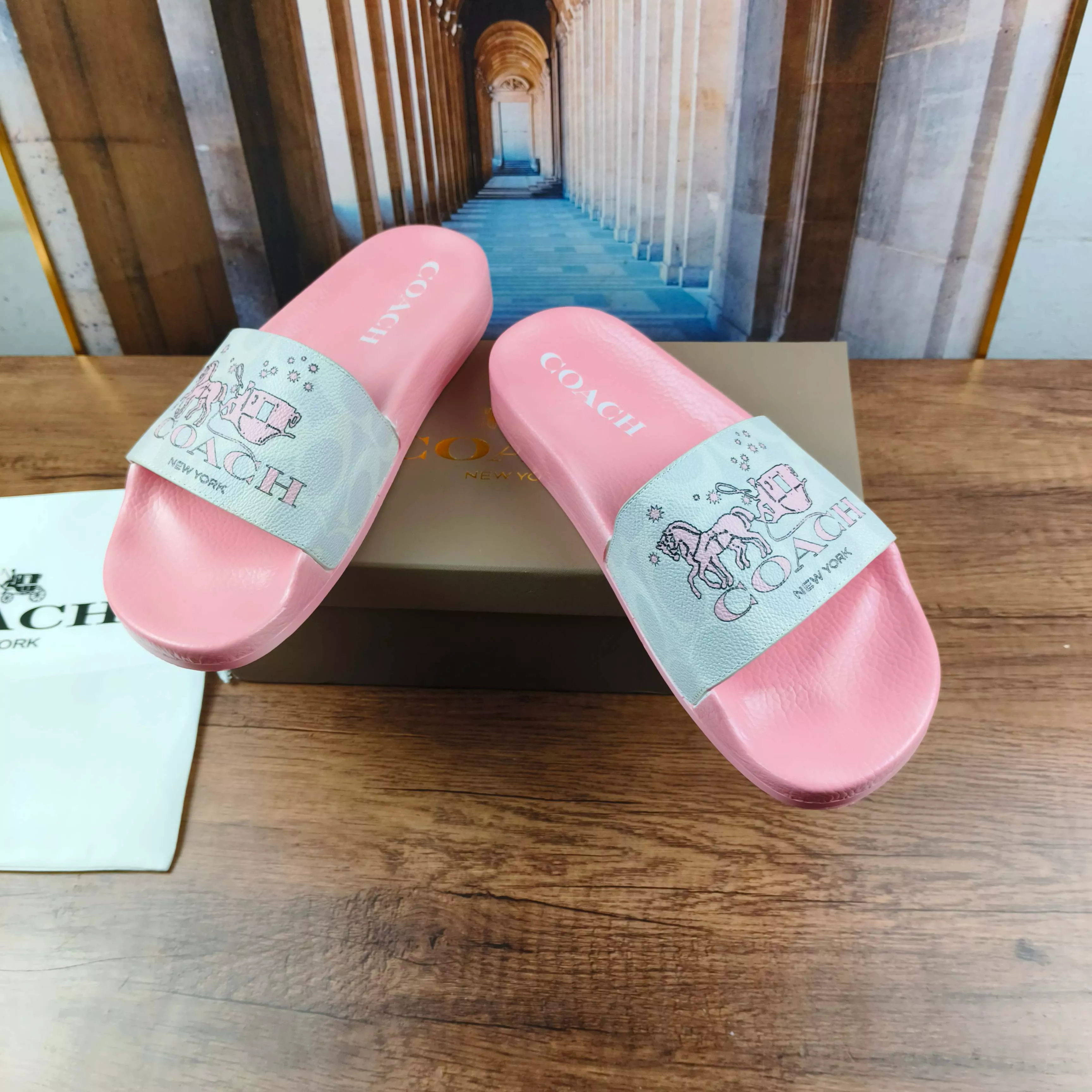 Practical 5218 Coach Slippers For Women