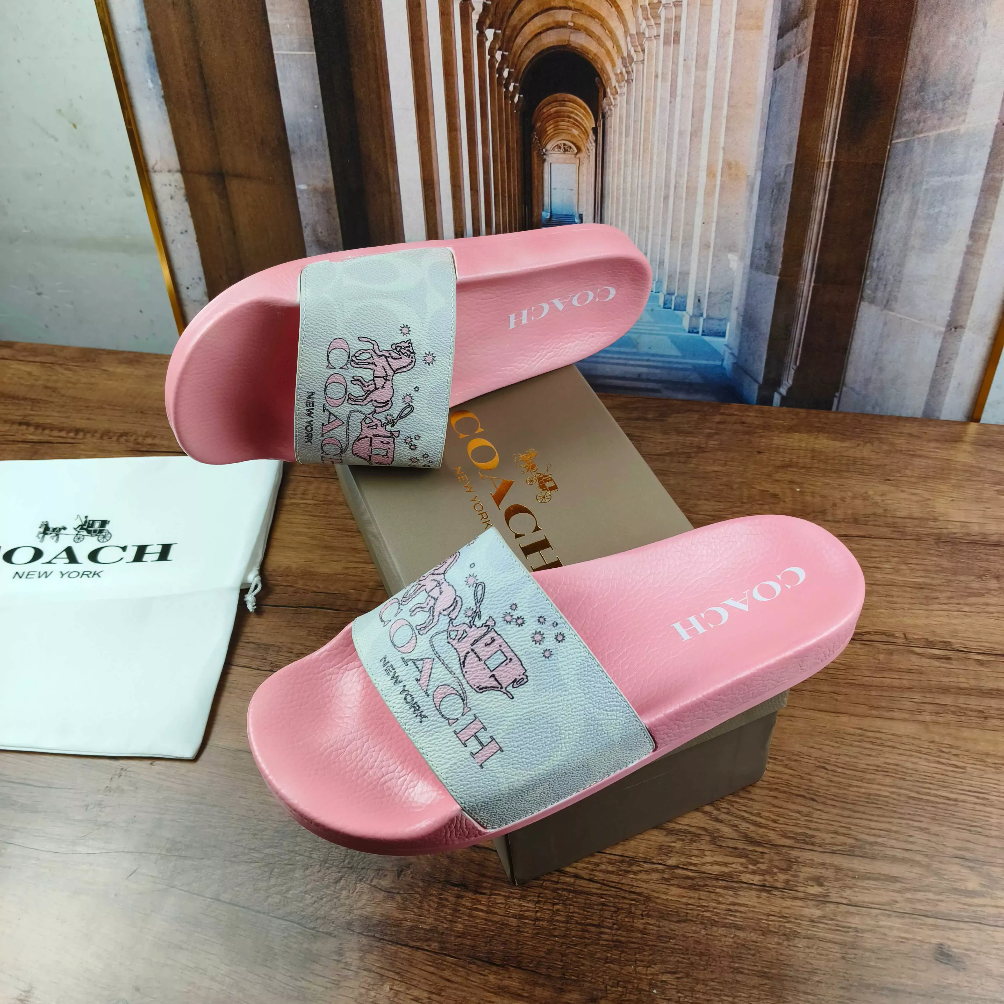 Practical 5218 Coach Slippers For Women