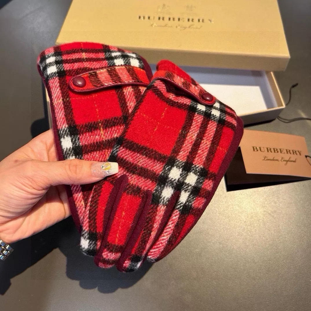 Practical 6569 Burberry Gloves