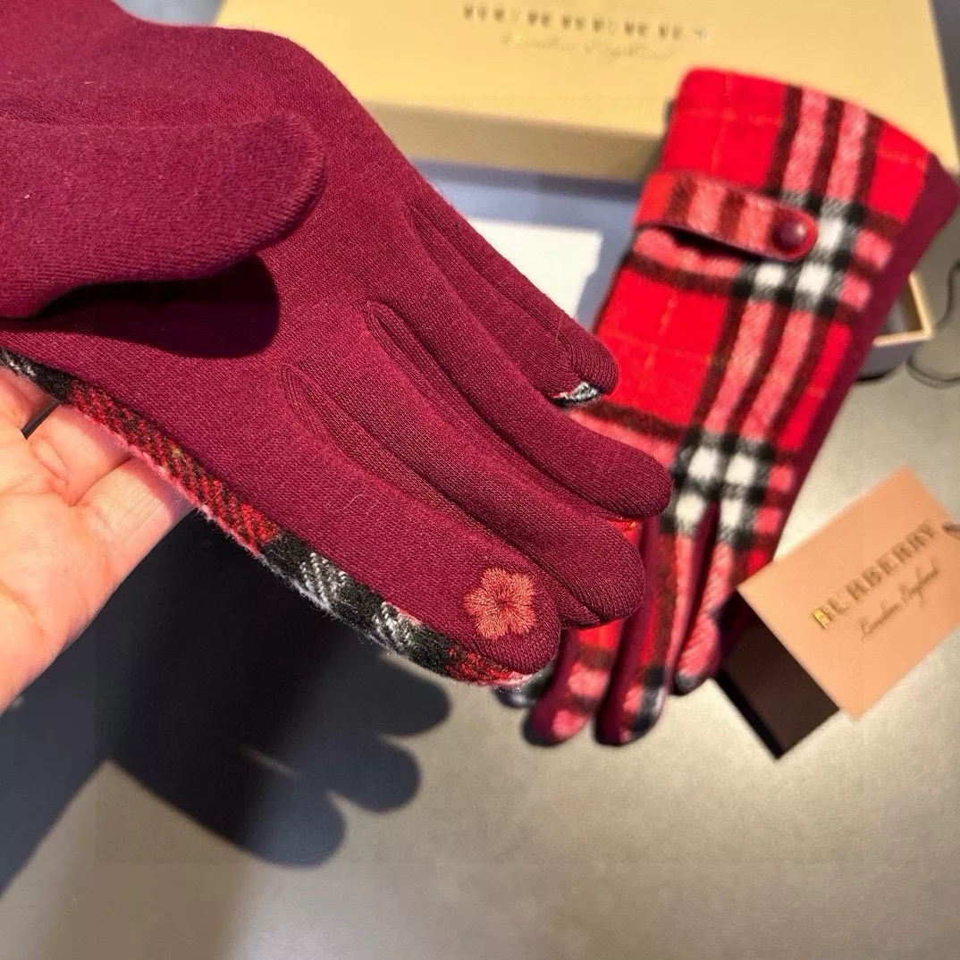 Practical 6569 Burberry Gloves