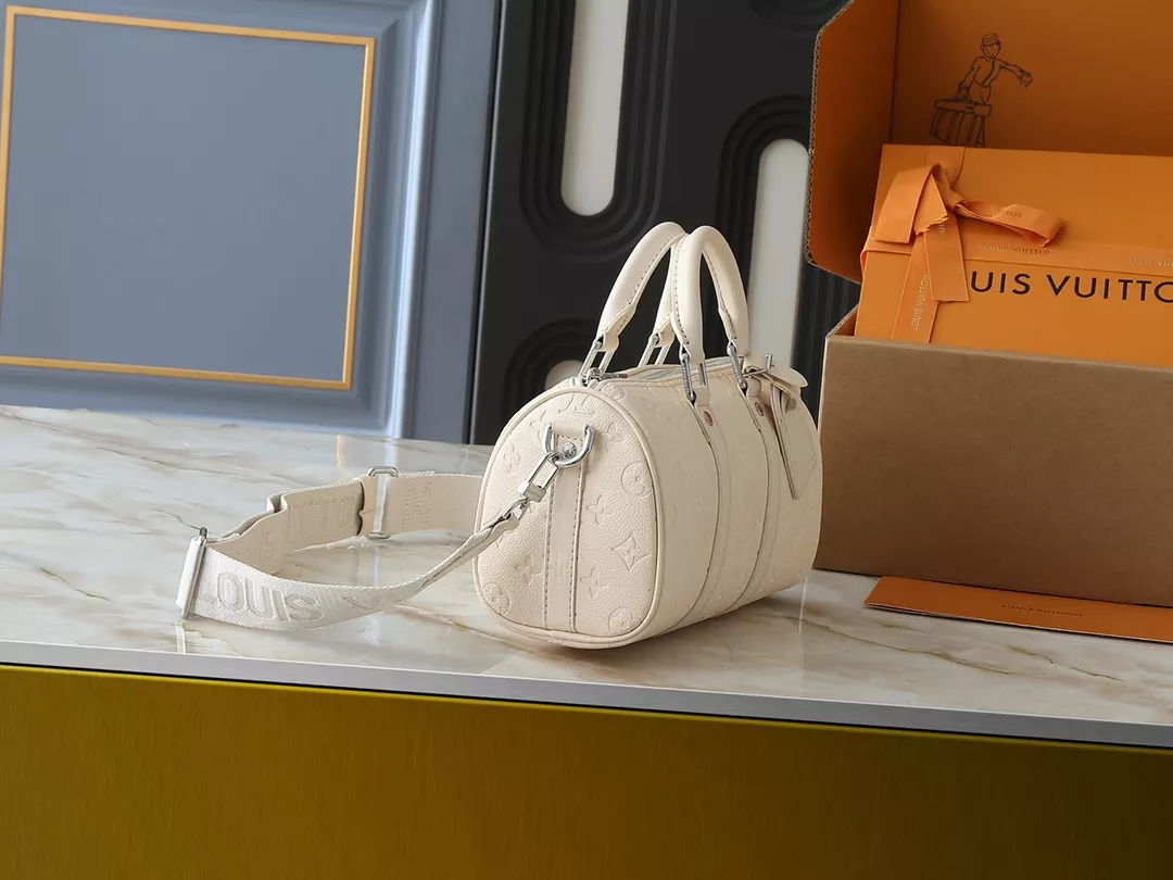 Practical 8187 Louis Vuitton HandBags For Women