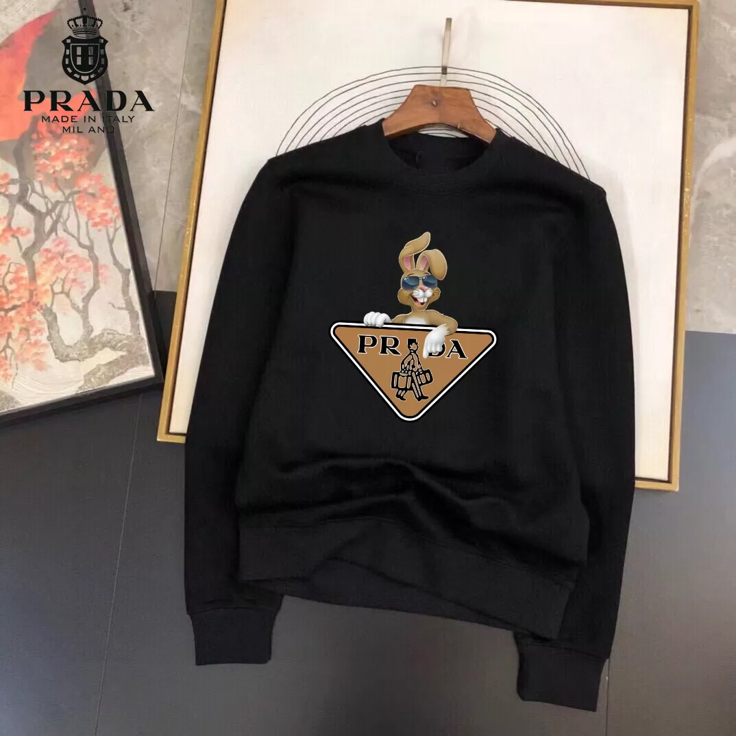 Prada Hoodies Long Sleeved For Men Minimalist 8319