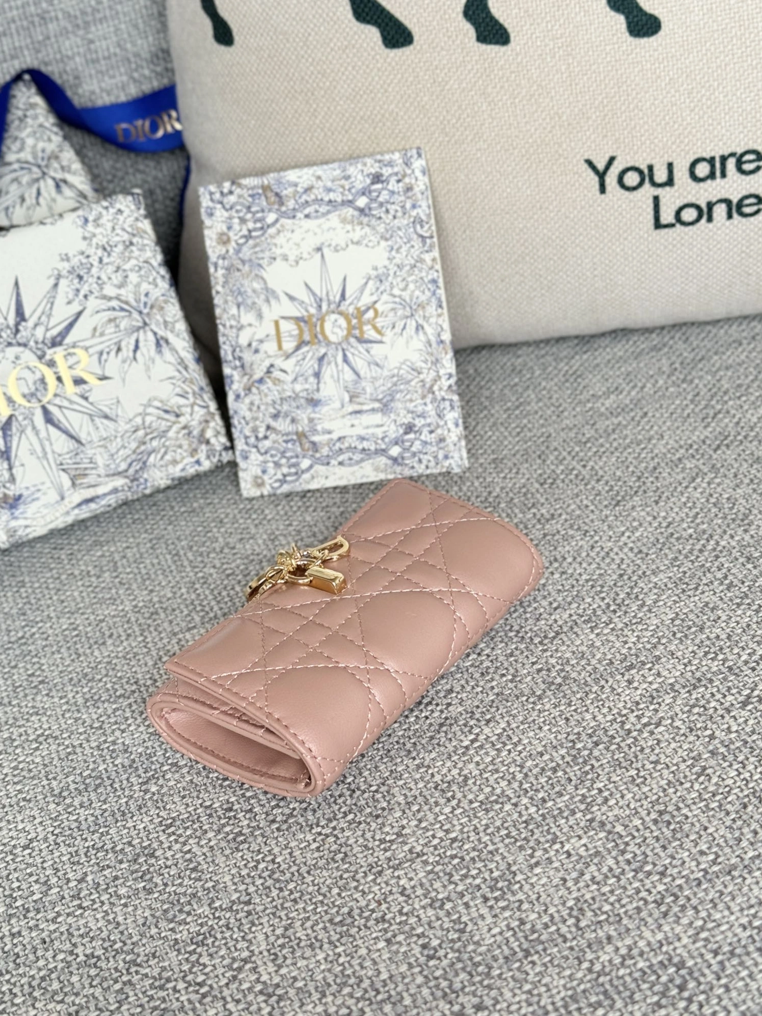 Refined 1447 Christian Dior AAA Wallets For Women
