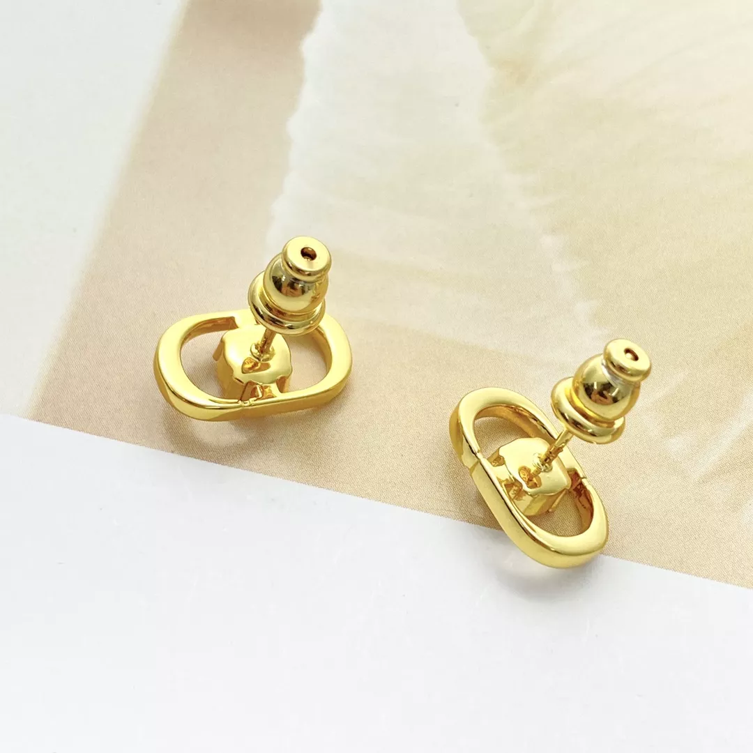 Refined 4207 Christian Dior Earrings For Women