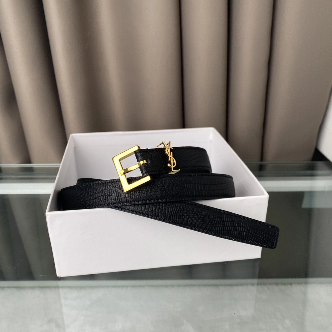 Refined 713 Yves Saint Laurent AAA Belts For Women