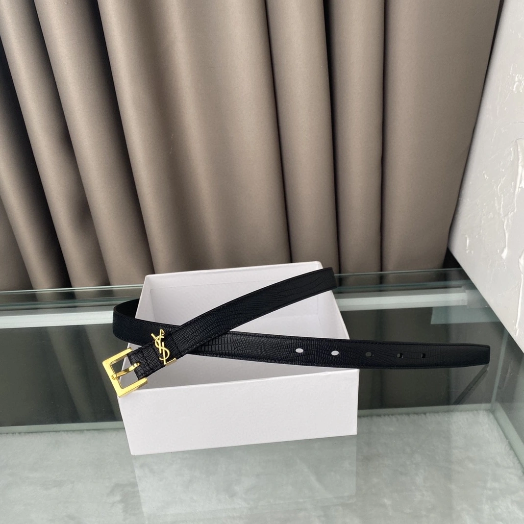 Refined 713 Yves Saint Laurent AAA Belts For Women