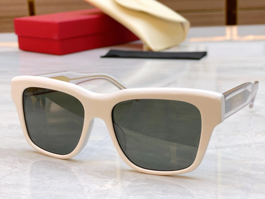 Refined 8227 Salvatore Ferragamo AAA Quality Sunglasses