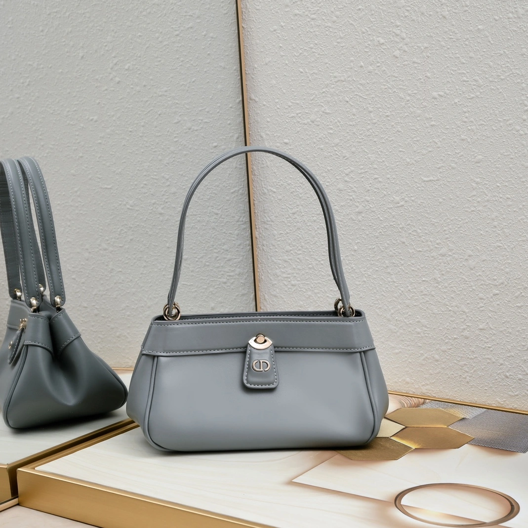 Reliable 5799 Christian Dior AAA Quality Shoulder Bags For Women