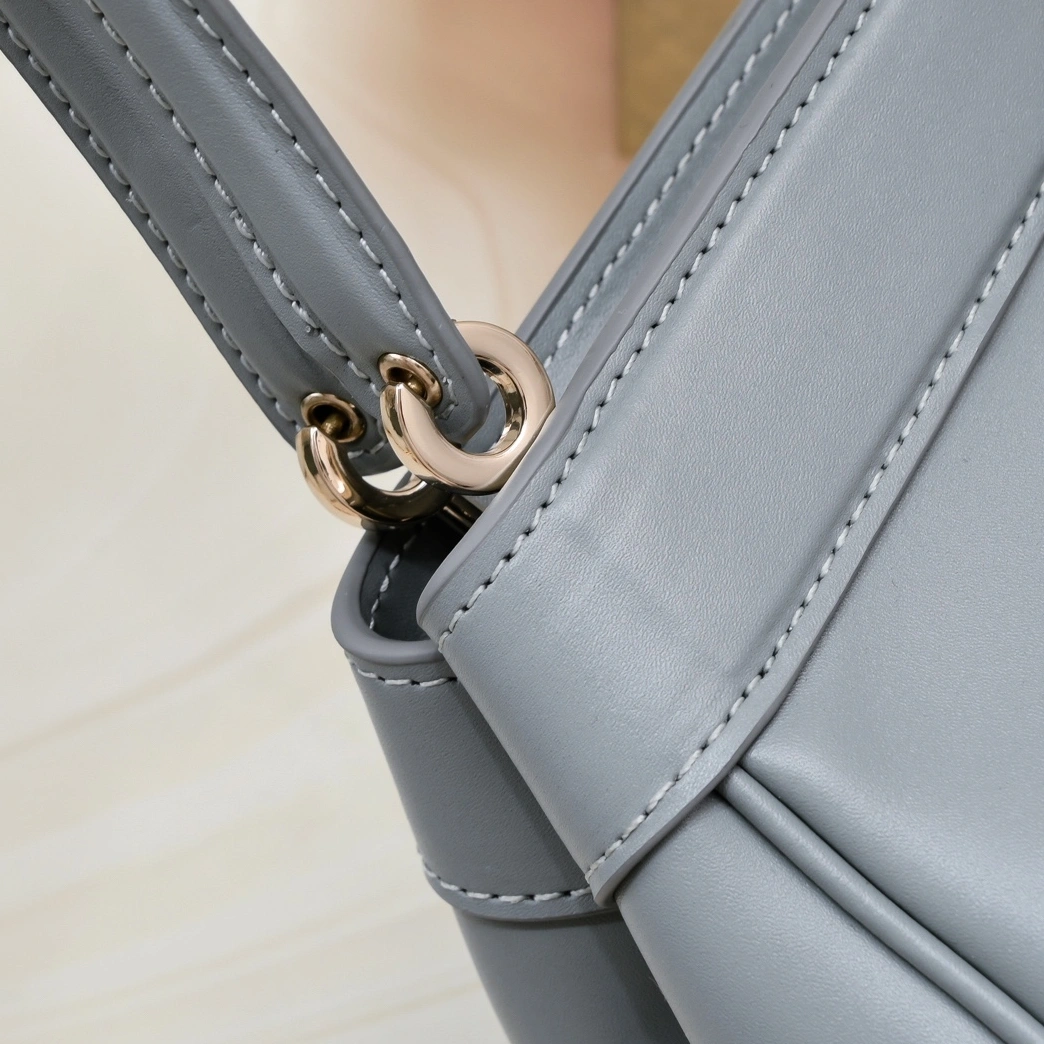 Reliable 5799 Christian Dior AAA Quality Shoulder Bags For Women