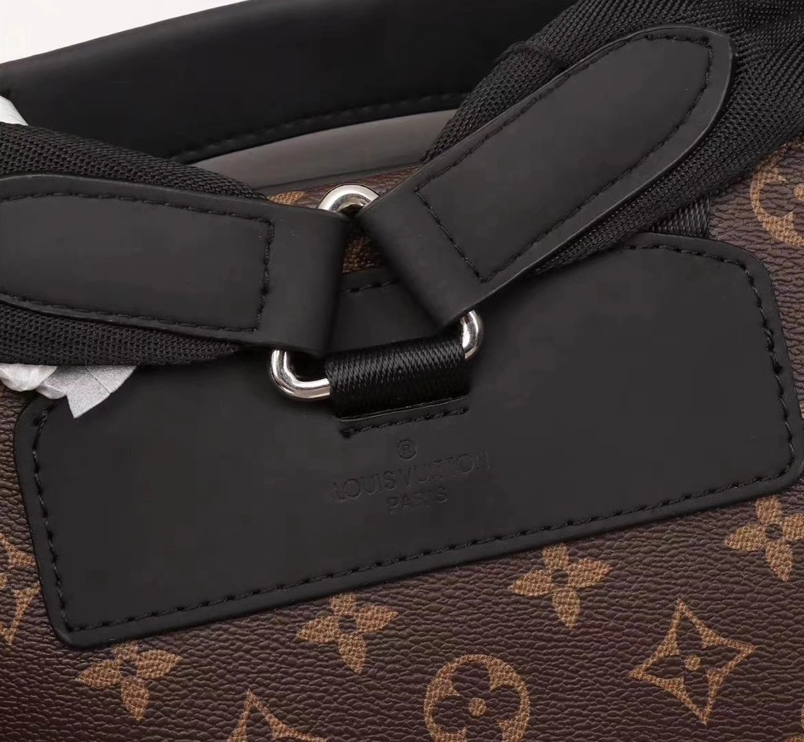 Reliable 6066 Louis Vuitton LV AAA Man Backpacks