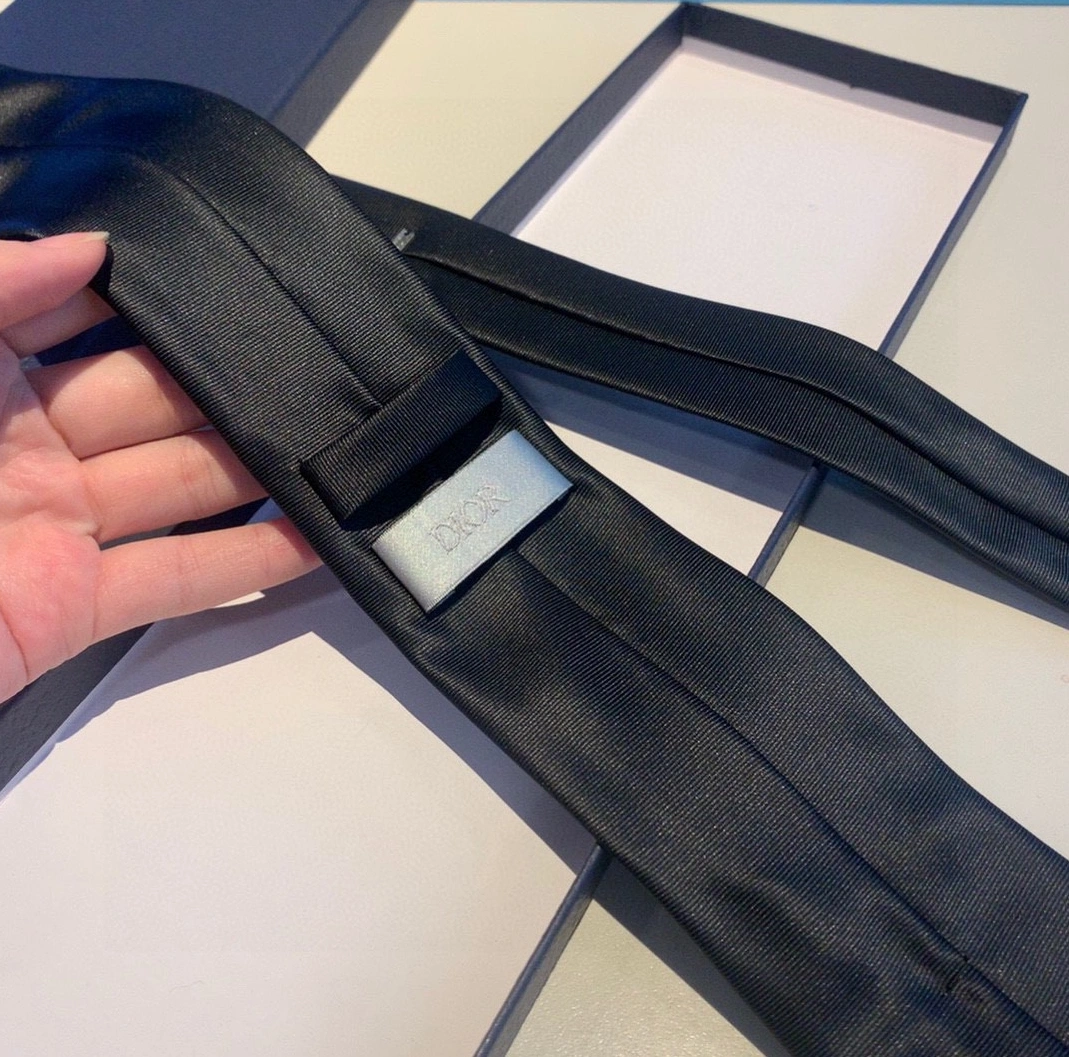 Resilient 1235 Christian Dior Necktie For Men