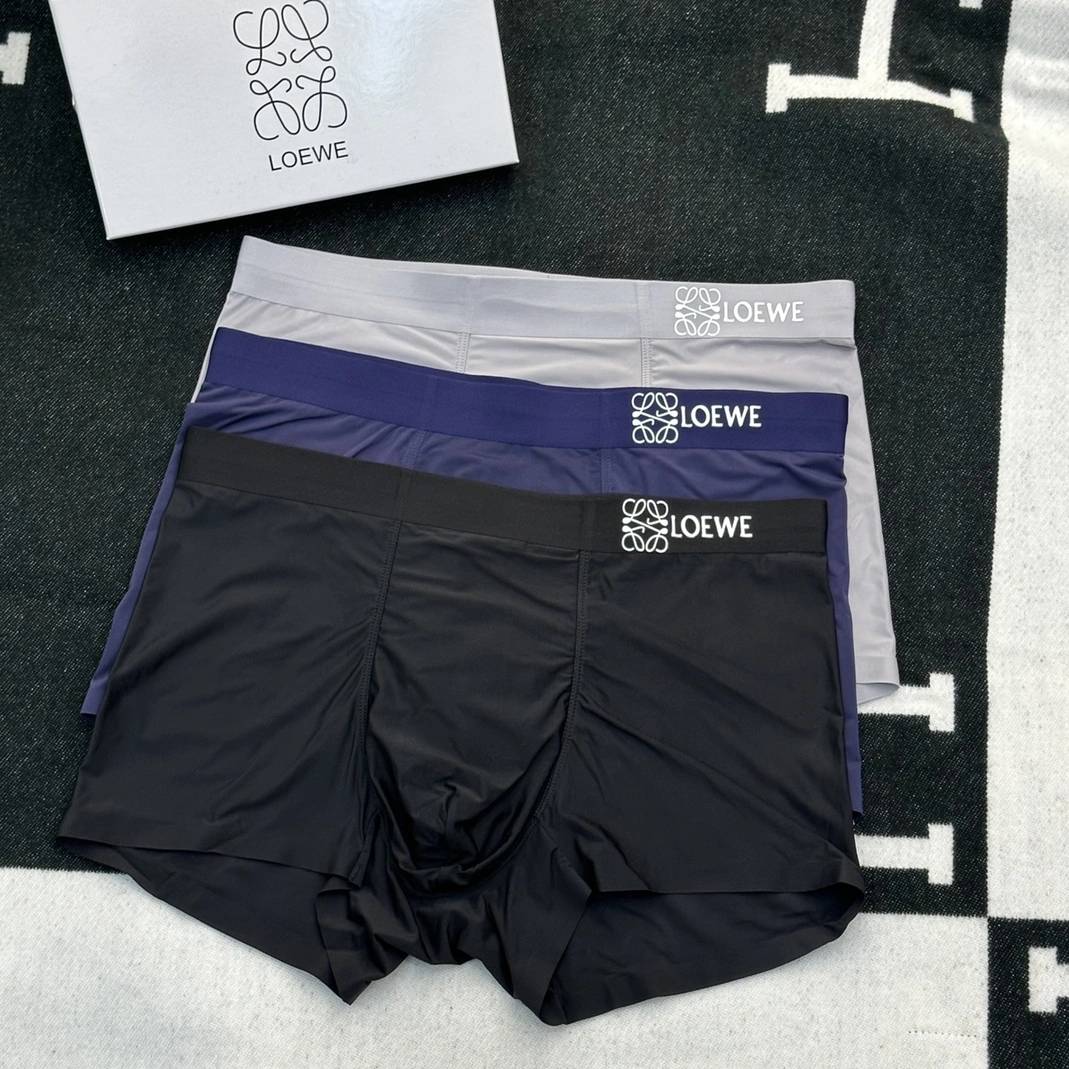 Resilient 1666 LOEWE Underwears For Men