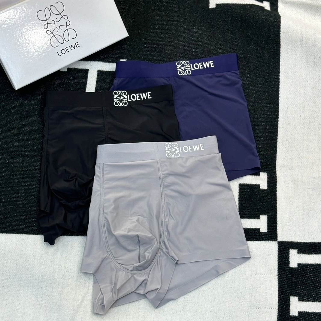 Resilient 1666 LOEWE Underwears For Men