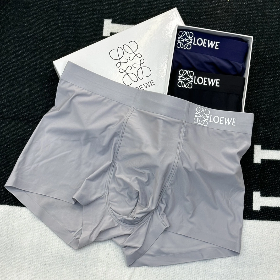 Resilient 1666 LOEWE Underwears For Men