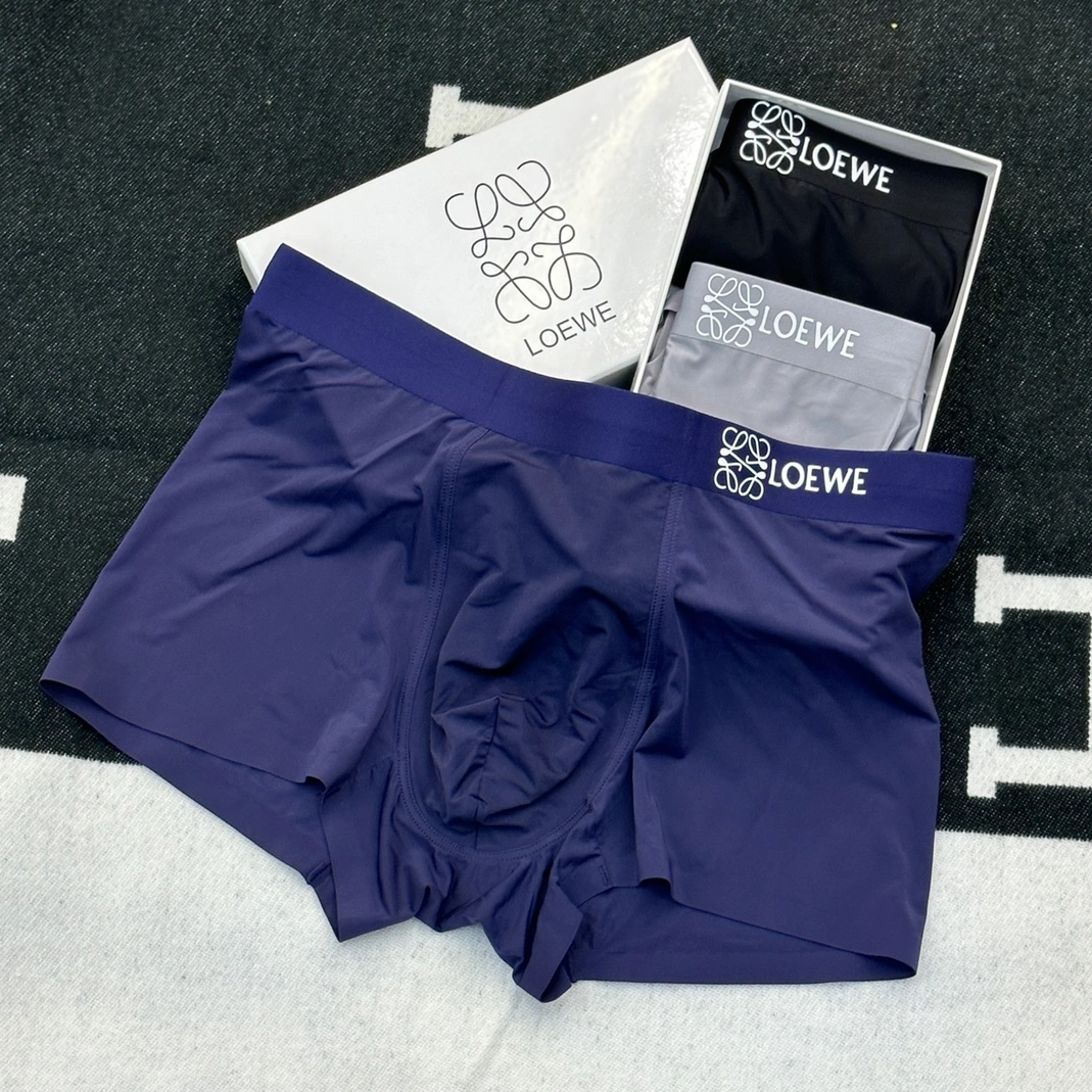 Resilient 1666 LOEWE Underwears For Men