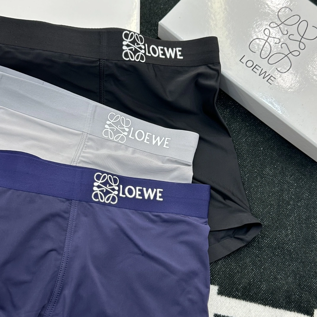 Resilient 1666 LOEWE Underwears For Men