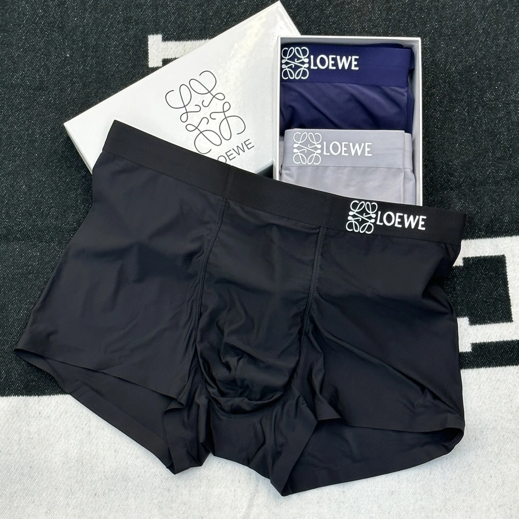 Resilient 1666 LOEWE Underwears For Men
