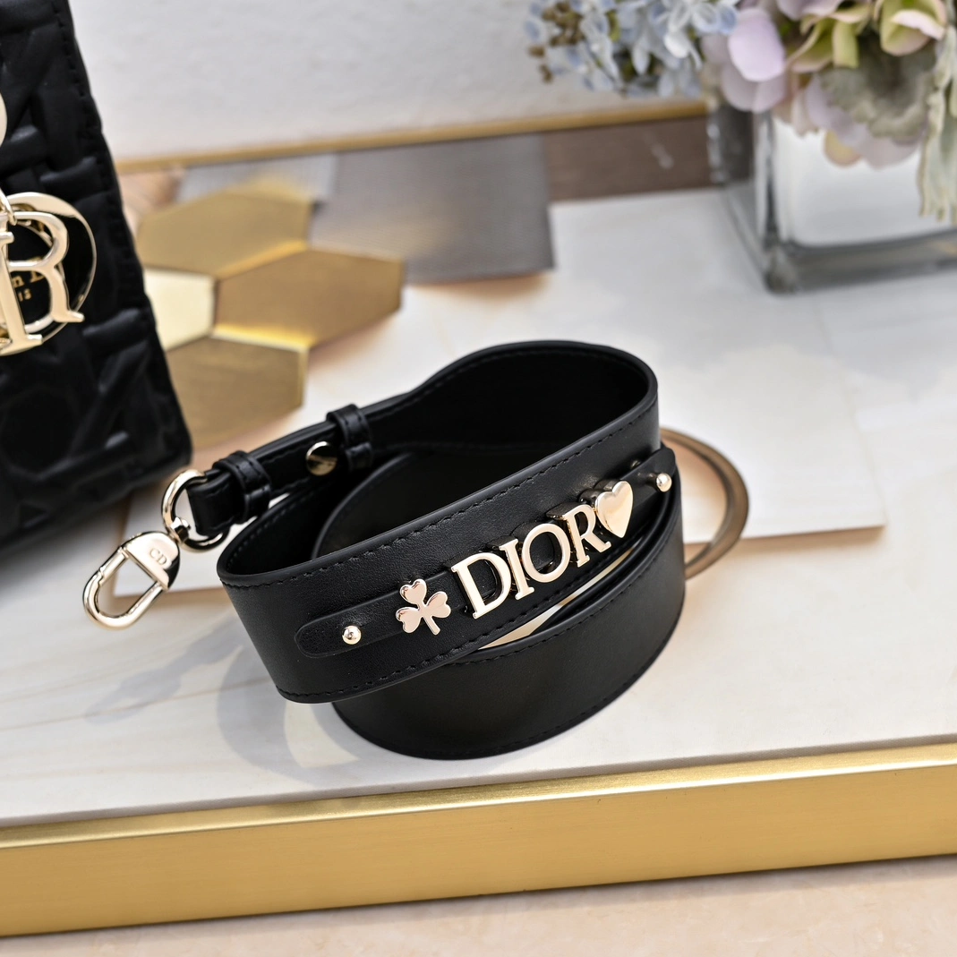 Resilient 1916 Christian Dior AAA Quality Handbags For Women